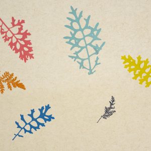 FARBKLECKS-COLOUR-SPLASH_Organoid-Natural-Surfaces-1920px-web Colour Splash