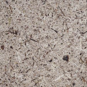 MOOS-GRAU_sample148x185mm_Organoid-Natural-Surfaces_web1920x1280px2 Moss Grey