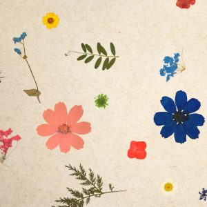 SUPERBLOOM_Organoid-Natural-Surfaces-1920px-web Superbloom