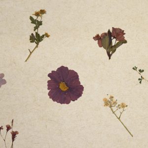 VIOLETTE_Organoid-Natural-Surfaces-1920px-web Violette