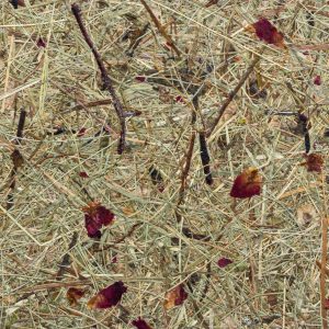 Wildspitze Rosengarten