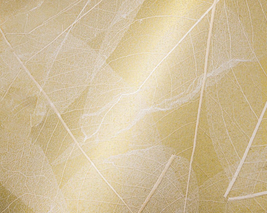 SKELETTBLATTLA-on-golden-Pape_sample-148x185mm_neu_Organoid-Natural-Surfaces_web-1920px-2048x1638